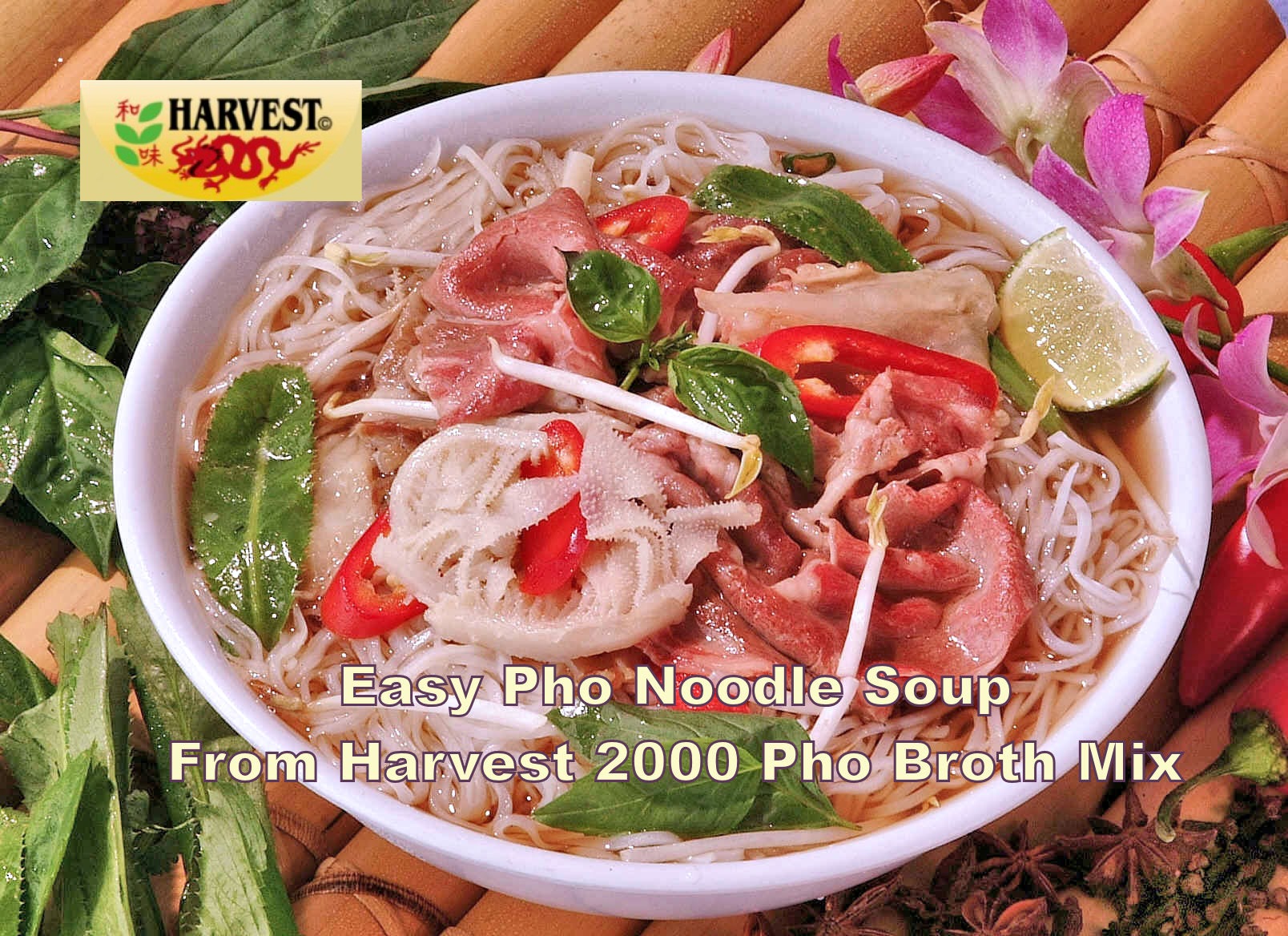 Harvest 2000 Pho Noodle Soup